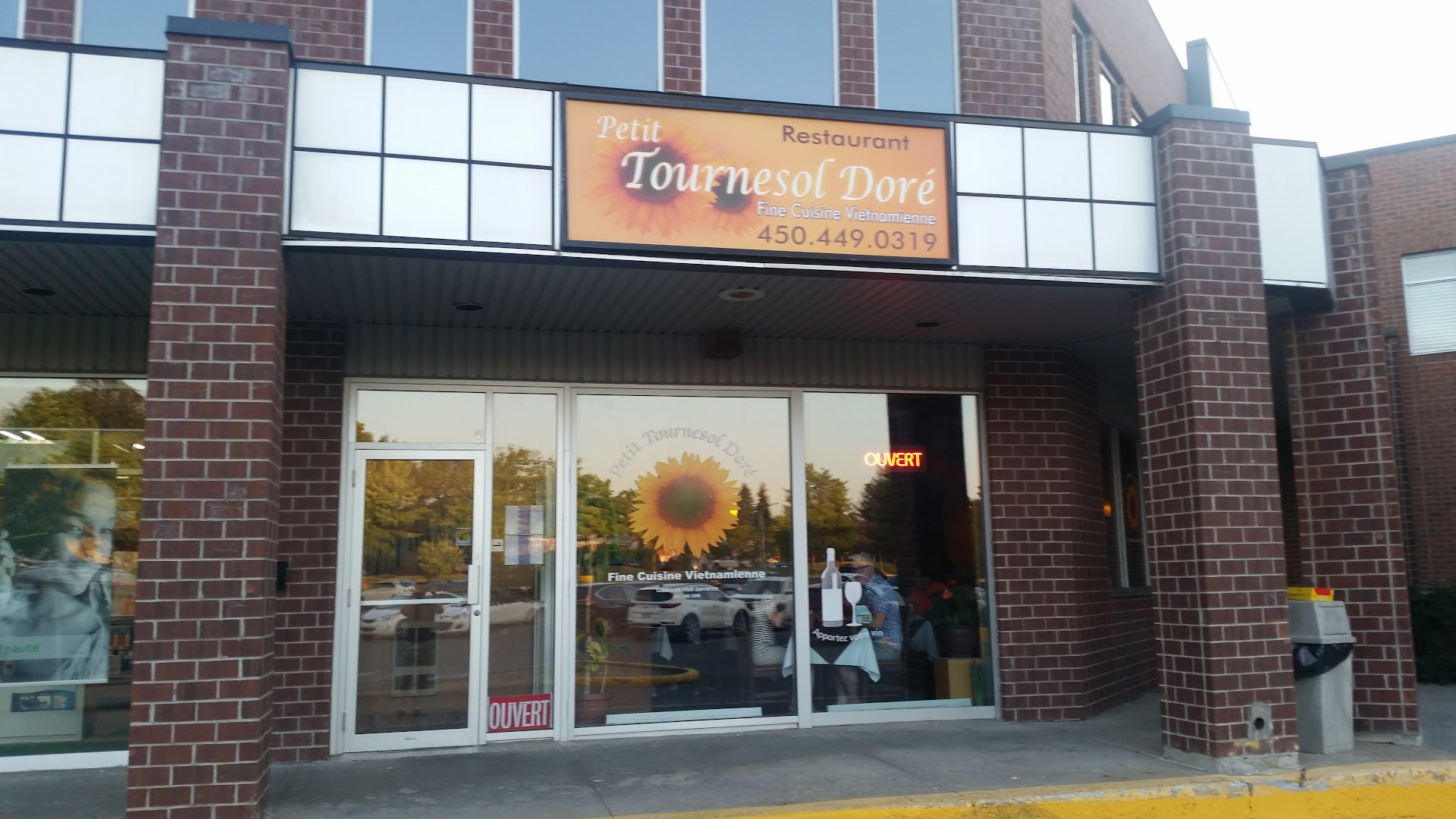 Petit Tournesol Doré Boucherville