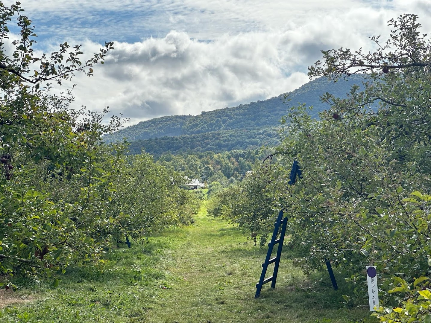 Au Pavillon de la Pomme