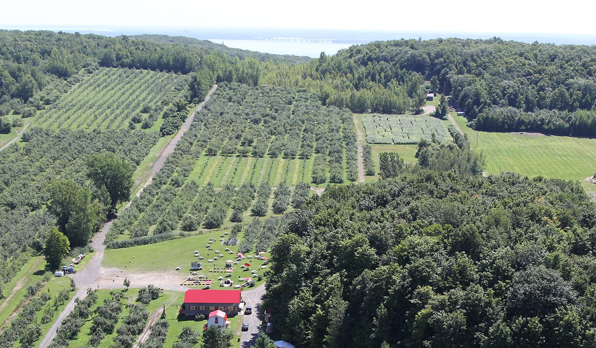 Labonté de la Pomme